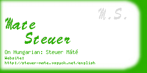 mate steuer business card